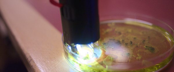 Biohacking_Taking_Place_At_Fscons_(130789437)