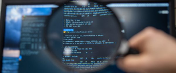 DNS- skärm, data, zonfilen