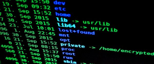 Free public domain CC0 photo.