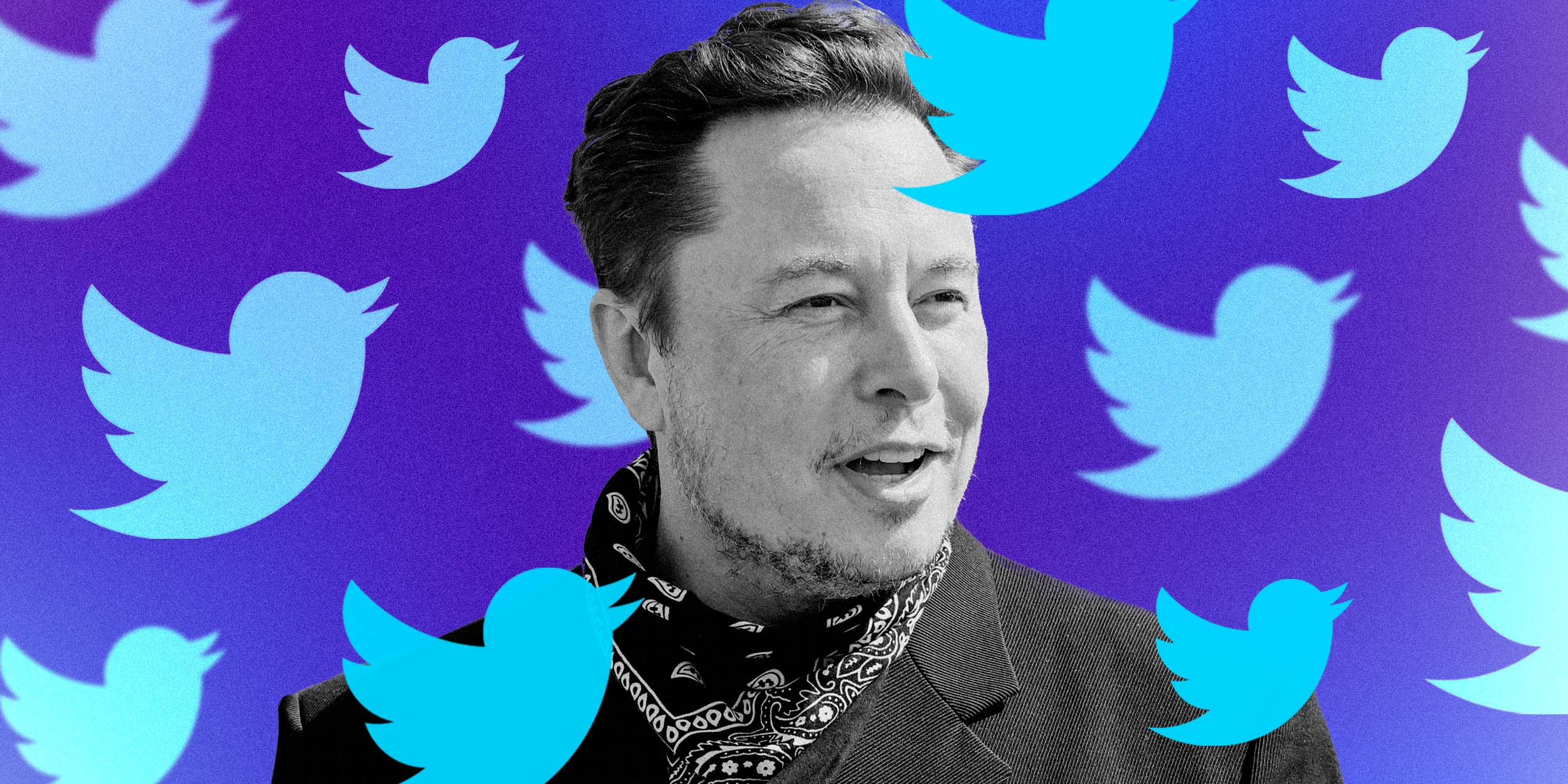 elon-musk-socia-mayoritario-twitter