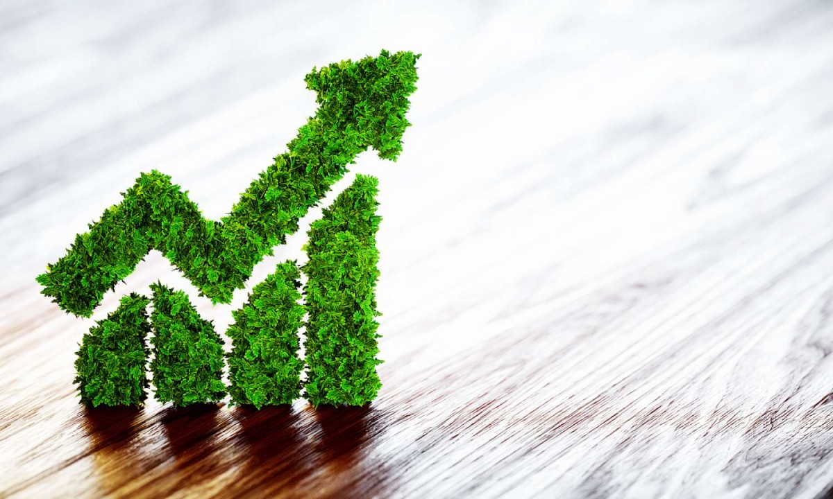 foto-de-sostenibilidad-empresarial