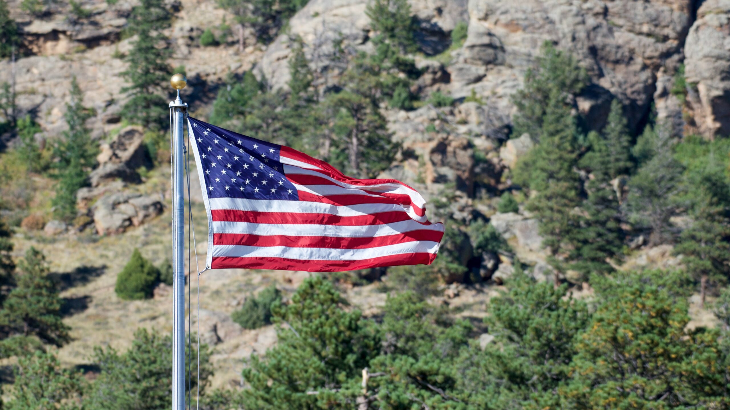 pexels-andrew-patrick-12541774-scaled-1