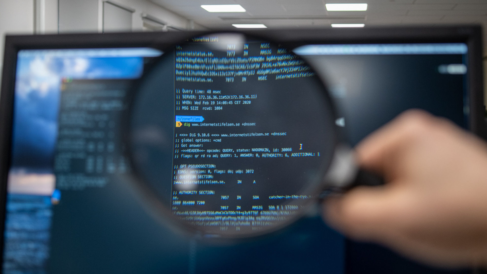 DNS- skärm, data, zonfilen